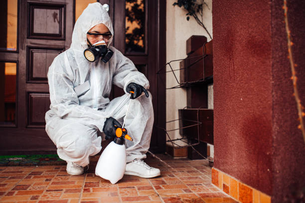 Attic and Crawl Space Rodent Treatment in Mohnton