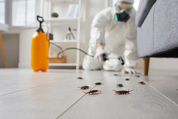 Commercial Rodent Management in Mohnton